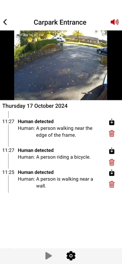 Woodcock AI app screen listing detection events for a car park entrance camera, each with a time and a plain-English description