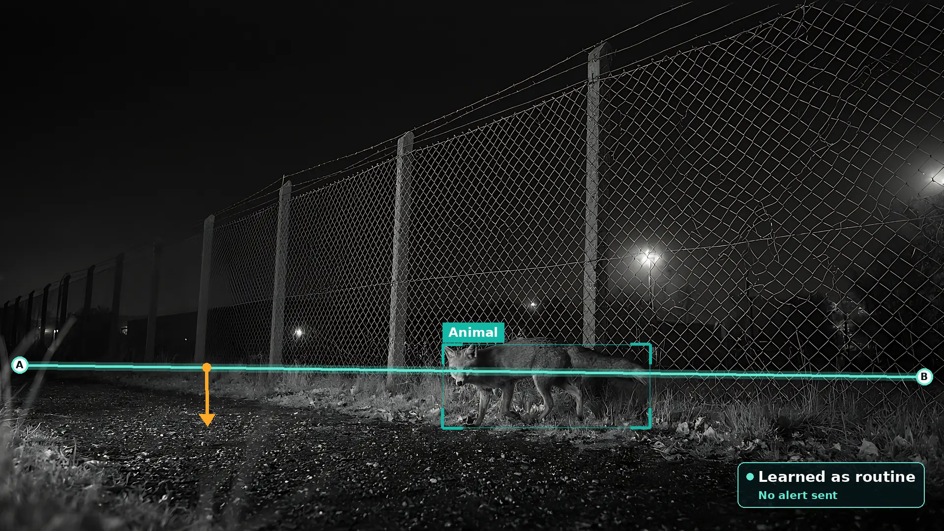 Black and white infrared view of a chain-link fence with concrete posts and barbed wire at night, with a fox walking along the base of the fence boxed in teal and labelled animal, a teal detection line along the fence base and a card saying it was learned as routine and no alert was sent